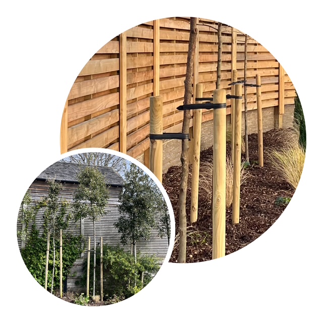 Gardener: Image 1